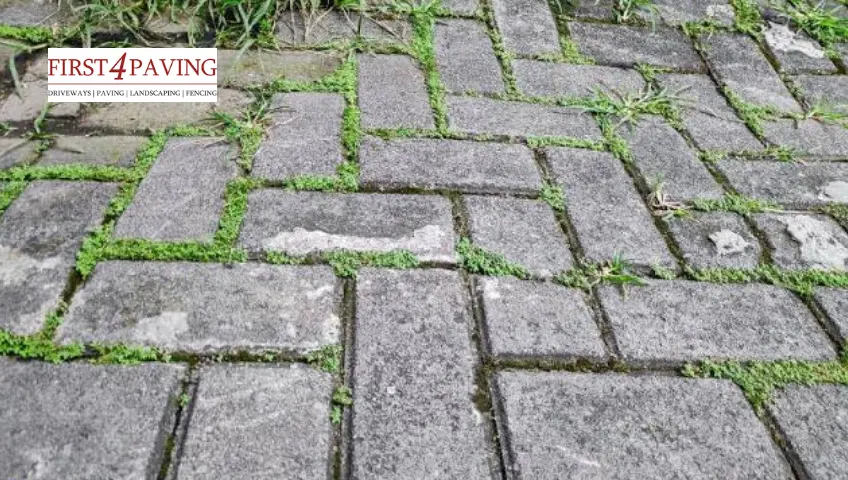 How to Seal Block Paving to Stop Weeds